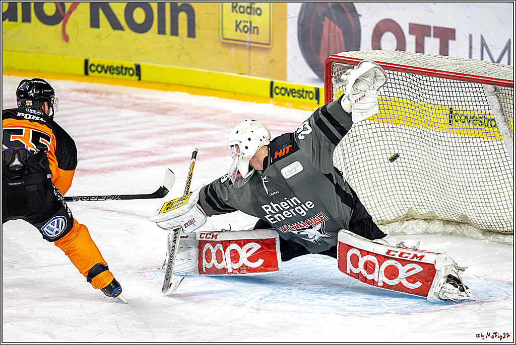 DEL; Koelner Haie - Grizzlys Wolfsburg, 26.12.2018